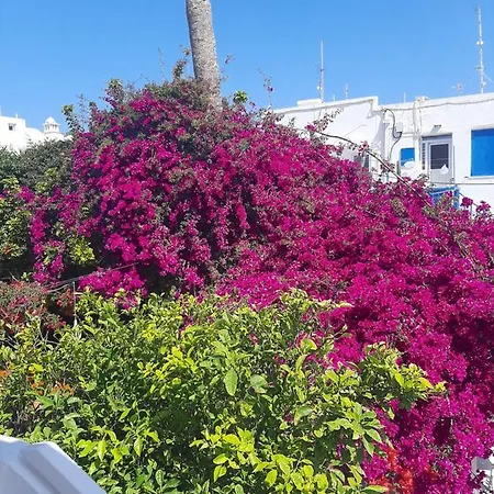 Sole Mykonos 公寓 Mykonos Town