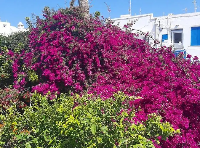 Sole Mykonos Daire Mykonos Town